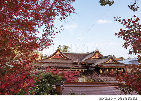 北野天満宮の紅葉苑 京都の紅葉の名所 秋の京都観光スポットの写真素材 65