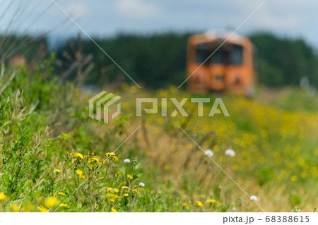 晴れた夏の津軽鉄道 68388615