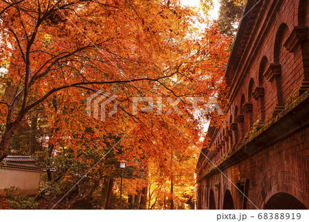 南禅寺水路閣の紅葉　京都の紅葉の名所　紅葉の絶景スポット 68388919