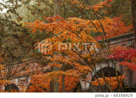 南禅寺水路閣の紅葉　京都の紅葉の名所　紅葉の絶景スポット 68388929