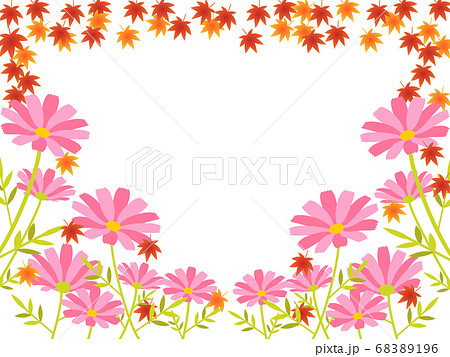 秋の花 コスモスと紅葉の背景フレームのイラスト素材 6196