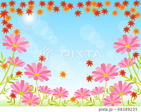 秋の花 コスモスと紅葉のフレームのイラスト素材 6235