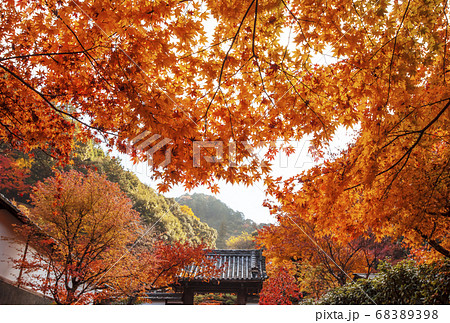 南禅寺最勝院の紅葉 京都の紅葉の名所 紅葉の絶景スポット 南禅寺最勝院の紅葉 京都の紅葉の名所 紅葉の絶景スポット 68389398