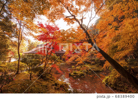南禅寺南禅院の紅葉 京都の紅葉の名所 紅葉の絶景スポット 南禅寺南禅院の紅葉 京都の紅葉の名所 紅葉の絶景スポット 68389400
