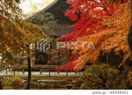 南禅寺南禅院の紅葉　京都の紅葉の名所　紅葉の絶景スポット 68389401