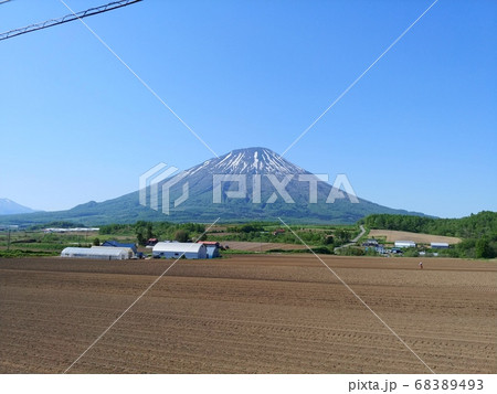 初夏の羊蹄山 68389493