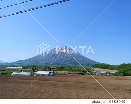 初夏の北海道の羊蹄山 68389494
