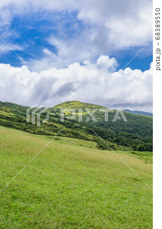 牧草地 放牧 放牧場 68389550