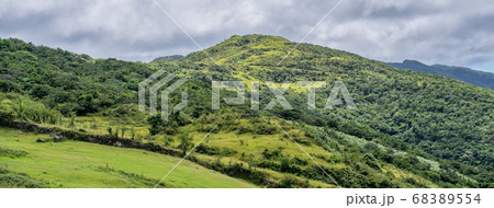 牧草地 放牧 放牧場 68389554