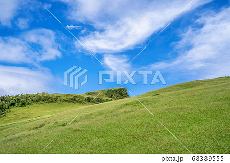 牧草地 放牧 放牧場 68389555