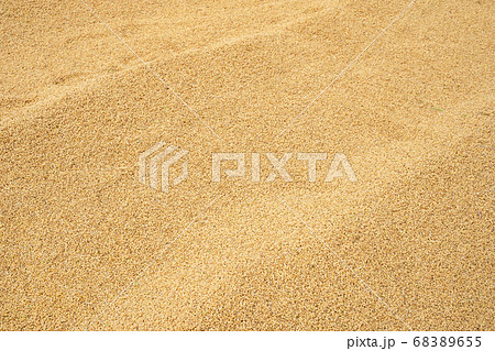 ごはん イネ 米 68389655