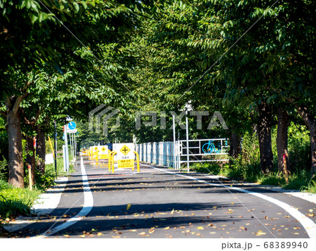 つくば霞ヶ浦りんりんロード（土浦駅付近） 68389940
