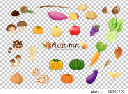 手描き水彩｜秋の味覚　野菜と果物　clipart　イラストセット 68390592