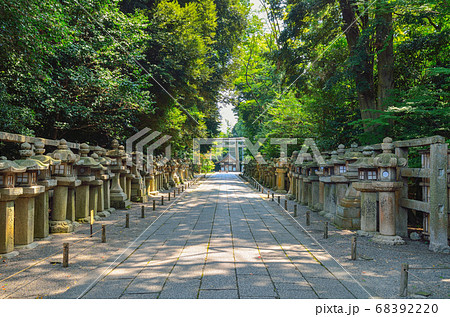 京都の岩清水八幡宮 石灯籠群の写真素材 [68392220] - PIXTA