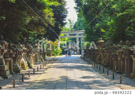 京都の岩清水八幡宮 石灯籠群の写真素材 [68392222] - PIXTA