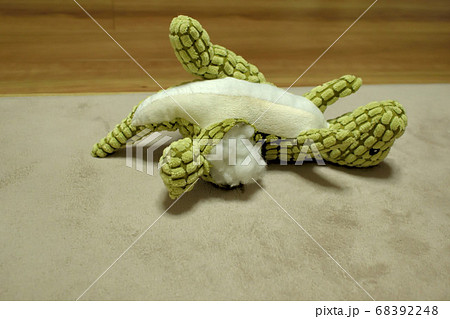 壊されたぬいぐるみ 68392248