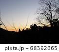 冬 68392665
