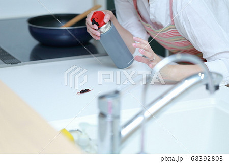 キッチンに現れたゴキブリを殺虫剤で撃退する主婦 68392803