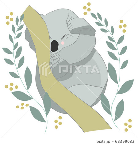 Lazy koala sleeping on a branch cartoon, vector illustration 68399032