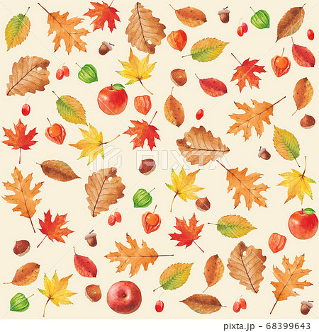 紅葉 葉 木の葉のイラスト素材