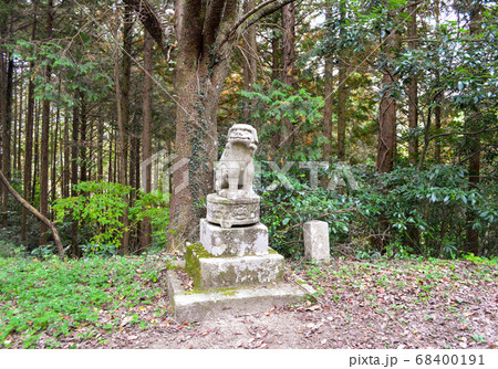 岡山のパワースポット サムハラ神社奥宮で迎えてくれる かわいい狛犬の写真素材