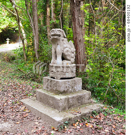 岡山のパワースポット サムハラ神社奥宮で迎えてくれる かわいい狛犬の写真素材