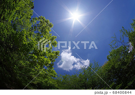 背景素材 夏の太陽 の写真素材 背景素材 夏の太陽 の写真素材
