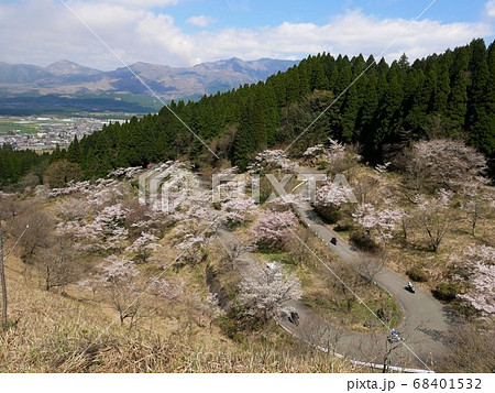 熊本県・高森峠の千本桜 九十九曲を楽しライダーたち 熊本県・高森峠の千本桜 九十九曲を楽しライダーたち 68401532