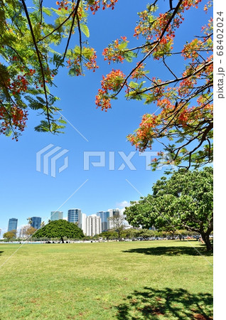 ハワイの休日 68402024