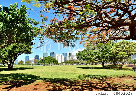 ハワイの休日 68402025