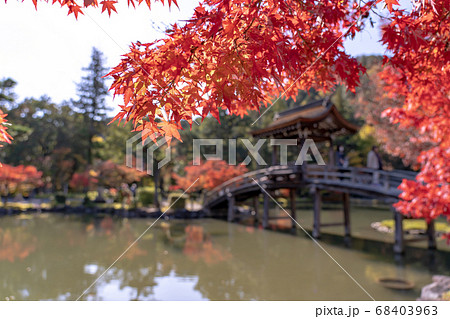 岐阜県多治見市 虎渓山永保寺 名勝庭園内の無際橋 岐阜県多治見市 虎渓山永保寺 名勝庭園内の無際橋 68403963