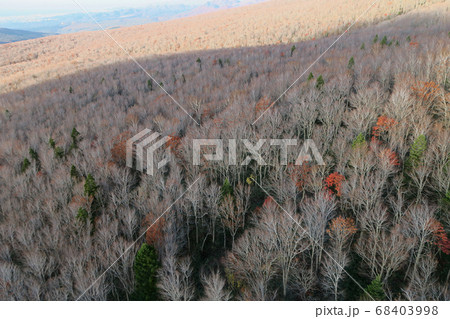 東北　八甲田山　ロープウエイ　紅葉 68403998