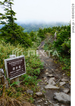 東北 八甲田山 ロープウエイ 紅葉 東北 八甲田山 ロープウエイ 紅葉 68404029