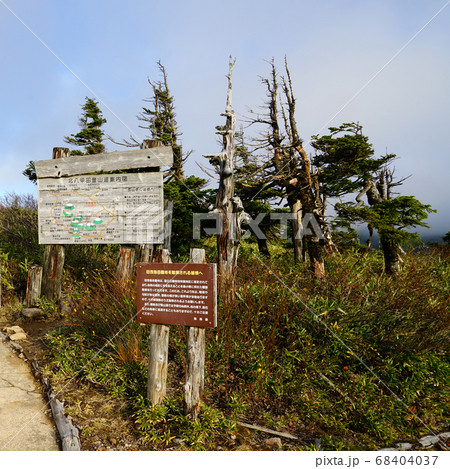 東北　八甲田山　ロープウエイ　紅葉 68404037