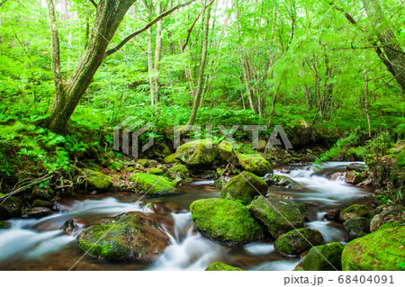 新緑の川　エコイメージ 68404091