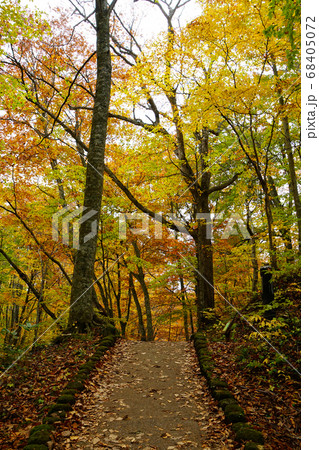 青森県 蔦沼 紅葉 青森県 蔦沼 紅葉 68405072