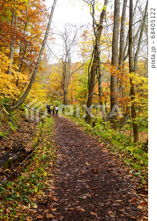 青森県　蔦沼　紅葉 68405122