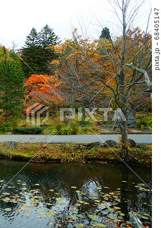 青森県　蔦沼　紅葉 68405147