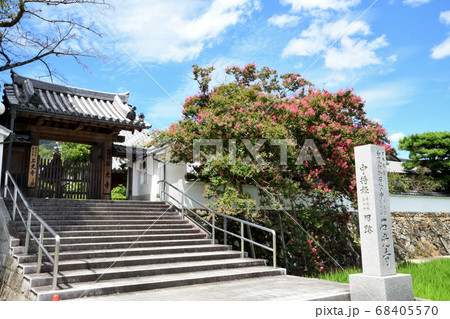 石光寺のサルスベリ 石光寺のサルスベリ 68405570