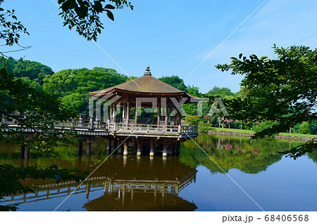 浮見堂　鷺池　奈良公園 68406568