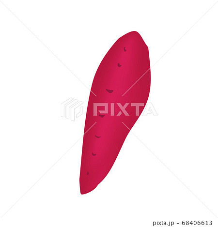 サツマイモ一本 やさいのベクターイラスト のイラスト素材