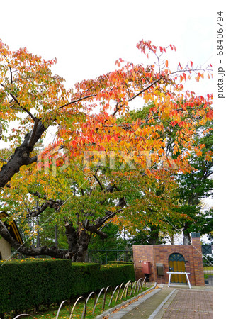 北海道　函館　トラピスチヌ修道院 68406794
