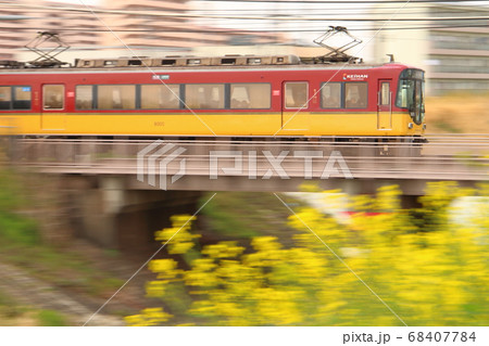 春の風物詩・菜の花と京阪電車・特急8000系の流し撮り 68407784