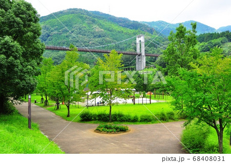 神奈川県立秦野戸川公園 子どもの広場と風の吊り橋 神奈川県立秦野戸川公園 子どもの広場と風の吊り橋 68408031