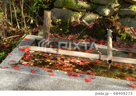 秋の紅葉 秋の紅葉 68409273
