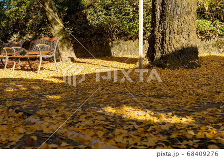 秋の紅葉 秋の紅葉 68409276