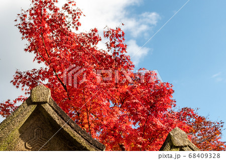 秋の紅葉 秋の紅葉 68409328
