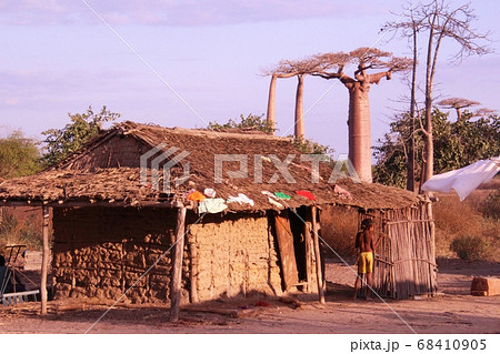 マダガスカルの農村の家とバオバブ Baobab and a House in Madagascar マダガスカルの農村の家とバオバブ Baobab and a House in Madagascar 68410905