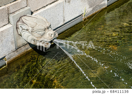 Dragon water spout closeup in buddhist temple in Hong Kong Dragon water spout closeup in buddhist temple in Hong Kong 68411136