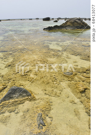 【鹿児島県　奄美大島】あやまる岬の珊瑚礁 68413077